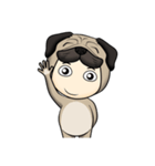 Little Pug（個別スタンプ：4）