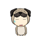 Little Pug（個別スタンプ：15）