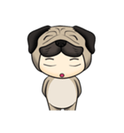 Little Pug（個別スタンプ：36）