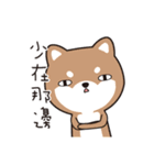 PuppyLove [Pet Alliance]（個別スタンプ：13）