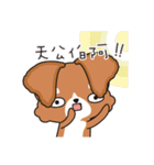 PuppyLove [Pet Alliance]（個別スタンプ：20）