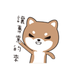 PuppyLove [Pet Alliance]（個別スタンプ：29）
