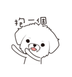 PuppyLove [Pet Alliance]（個別スタンプ：31）