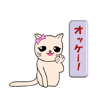キアラのかわいい猫 関西弁編（大阪弁編）（個別スタンプ：4）