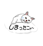 吹き出しに白ねこと黒猫。大きな文字（個別スタンプ：4）