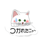 吹き出しに白ねこと黒猫。大きな文字（個別スタンプ：8）