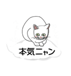 吹き出しに白ねこと黒猫。大きな文字（個別スタンプ：11）