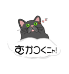 吹き出しに白ねこと黒猫。大きな文字（個別スタンプ：12）