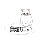 吹き出しに白ねこと黒猫。大きな文字（個別スタンプ：15）