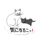 吹き出しに白ねこと黒猫。大きな文字（個別スタンプ：27）