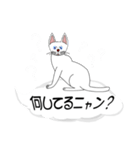 吹き出しに白ねこと黒猫。大きな文字（個別スタンプ：33）