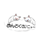 吹き出しに白ねこと黒猫。大きな文字（個別スタンプ：35）