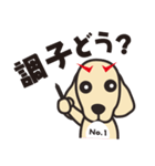歯科医院地域一番実践会（個別スタンプ：38）