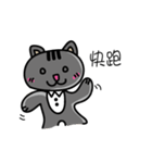 Gray's meow（個別スタンプ：2）