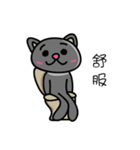 Gray's meow（個別スタンプ：27）