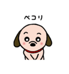 ビーグル犬あゆ（個別スタンプ：13）