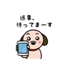 ビーグル犬あゆ（個別スタンプ：16）