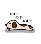 ビーグル犬あゆ（個別スタンプ：20）