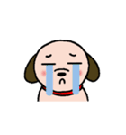 ビーグル犬あゆ（個別スタンプ：31）