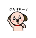 ビーグル犬あゆ（個別スタンプ：36）