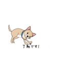 吹き出し大好き！チワワのいちくん（個別スタンプ：4）