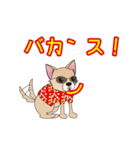 吹き出し大好き！チワワのいちくん（個別スタンプ：21）