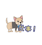 吹き出し大好き！チワワのいちくん（個別スタンプ：22）