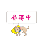 吹き出し大好き！チワワのいちくん（個別スタンプ：23）