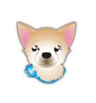 吹き出し大好き！チワワのいちくん（個別スタンプ：26）