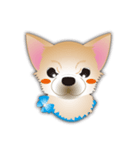 吹き出し大好き！チワワのいちくん（個別スタンプ：30）