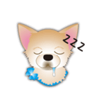 吹き出し大好き！チワワのいちくん（個別スタンプ：31）