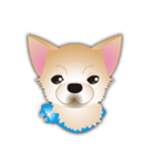 吹き出し大好き！チワワのいちくん（個別スタンプ：32）