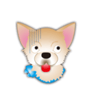 吹き出し大好き！チワワのいちくん（個別スタンプ：33）