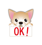吹き出し大好き！チワワのいちくん（個別スタンプ：34）