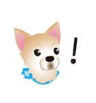 吹き出し大好き！チワワのいちくん（個別スタンプ：37）