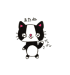 にゃんこde会話（個別スタンプ：38）