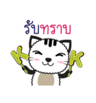 Tikkie Cat（個別スタンプ：11）