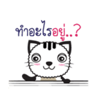 Tikkie Cat（個別スタンプ：24）