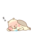 lovely beaver (Eng)（個別スタンプ：19）