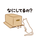 にゃんこんび（個別スタンプ：12）