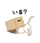 にゃんこんび（個別スタンプ：14）