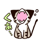 ねこのふーちゃん＆チコたん（個別スタンプ：3）