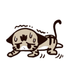 ねこのふーちゃん＆チコたん（個別スタンプ：13）