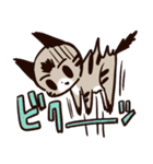 ねこのふーちゃん＆チコたん（個別スタンプ：16）