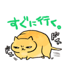 ねこのふーちゃん＆チコたん（個別スタンプ：22）