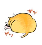 ねこのふーちゃん＆チコたん（個別スタンプ：31）