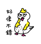 Coo Coo Chick 2（個別スタンプ：12）