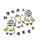 Coo Coo Chick 2（個別スタンプ：17）