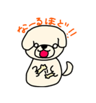 ひつじカットのビションくん（個別スタンプ：1）