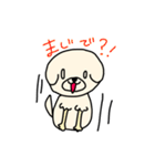 ひつじカットのビションくん（個別スタンプ：8）